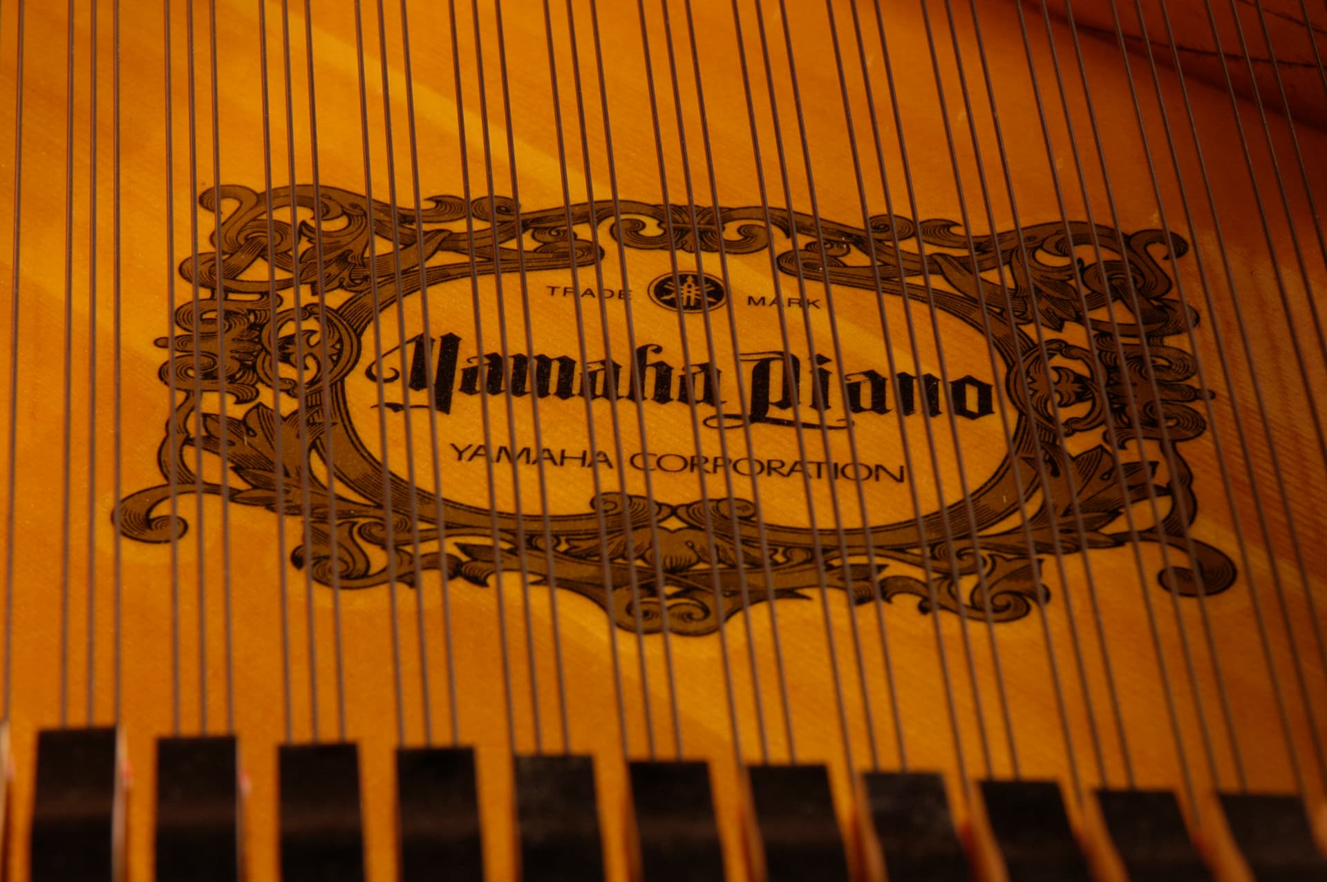 Detalhe das cordas e da tábua harmônica do piano Yamaha.